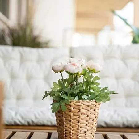 Apartment Kensho Haven Of Rest Kalamata